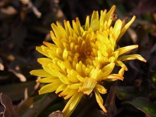 R0011856.JPG