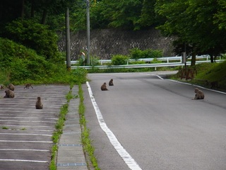 R0013902.JPG