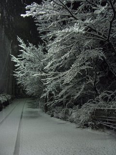 R0010251.JPG